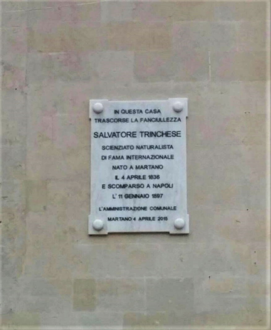 Salvatore Trinchese's Childhood Home  (4).jpg